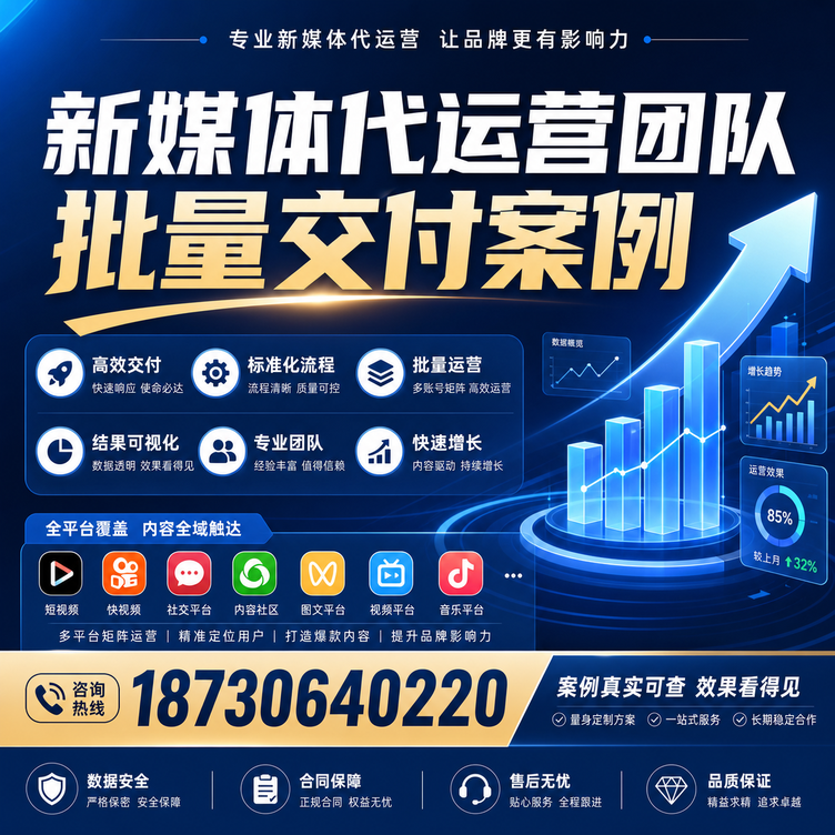 宜春代运营公司多客户账号批量高效交付案例